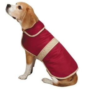 NWT L Barn Dog Coat with Contrast Trim Casual